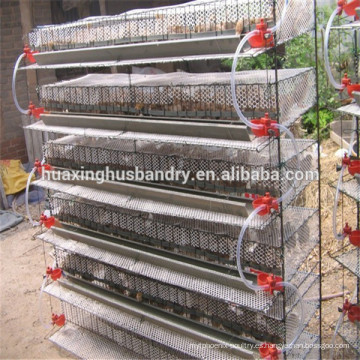 Huaxing diseño de la fábrica codorniz capa jaulas